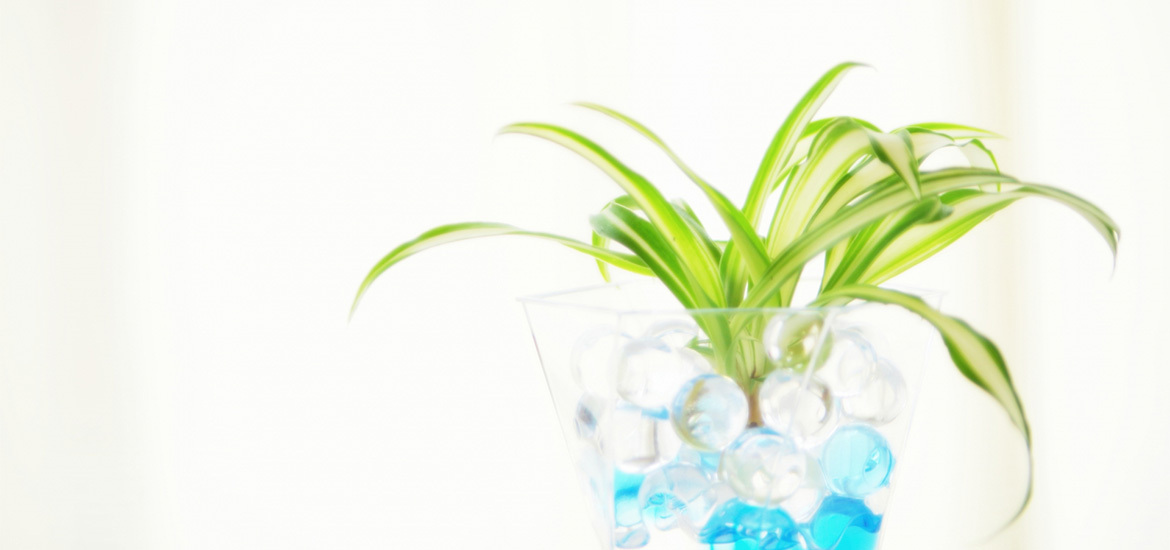 神戸市北区藤原台北町　田尾寺駅　小児科　アレルギー科